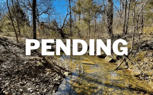 70 Acres – Mix Of Pasture and Big Timber – Spring Fed Creek!