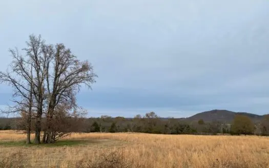 Land for Sale Near Sardis Lake Lot 3 – Clayton, Ok