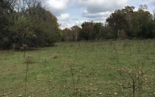 Kentucky Cattle Farm & Hunting Land with Creek for Sale