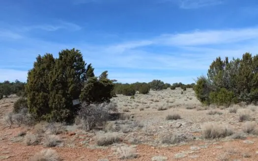 Off Grid with Easy Access. Borders State Land