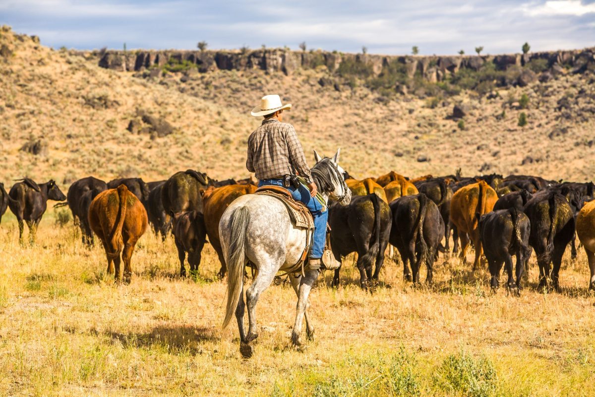 Land Buying Checklist for Your Ranch