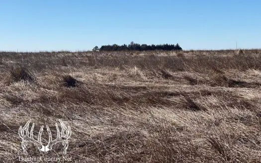 160 Ac M/l Farm Ground in Ford County Kansas for Sale