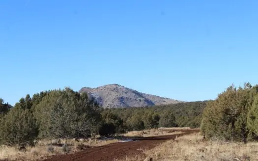 Coconino County Land for Sale in Westwood Ranch