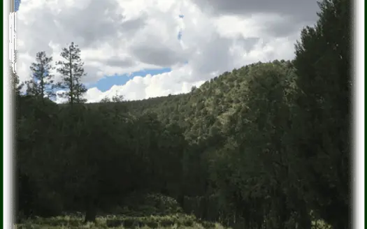 Ranch for Sale in Southeast New Mexico Cattle Ranch for Sale