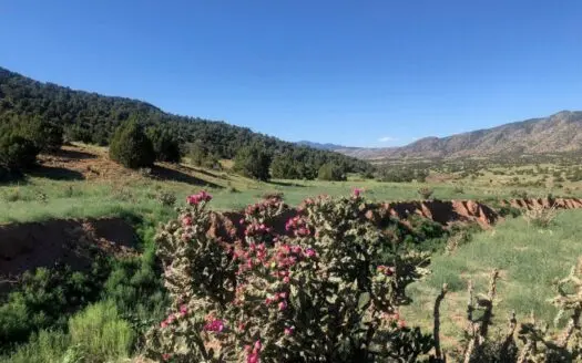 66 Acres Bordering Blm on County Road Canon City Colorado