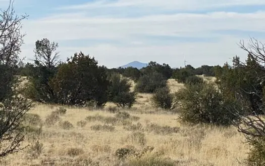 Williams Az Land for Sale That Borders Public Land