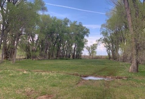 ranches for sale listing image for Ranch/hunting Property with Sr. Water Rights for Sale