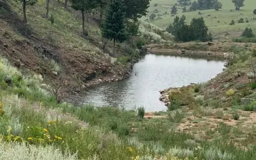 Beautiful 49.99 Acre Lot for Sale in Cotopaxi