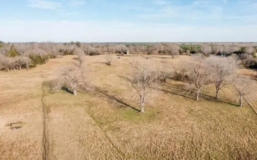 Starkville Ms Land for Sale