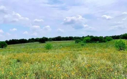 Land for Sale in Atascosa County
