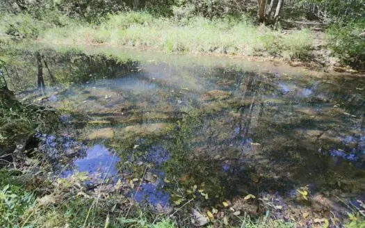 Cattle Ranch with Spring Water in Texas County Missouri