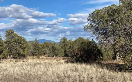 40 Acres in Juniperwood Ranch