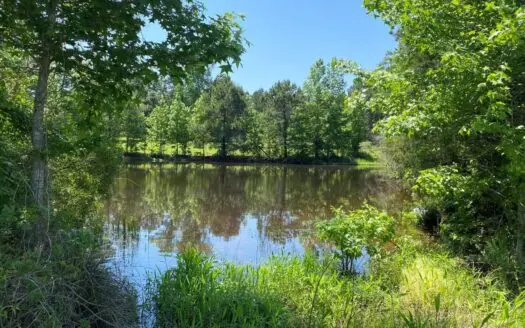 East Texas Ranch with Cabin