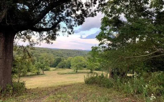 Acreage 4 Min to Buffalo National River—has It All