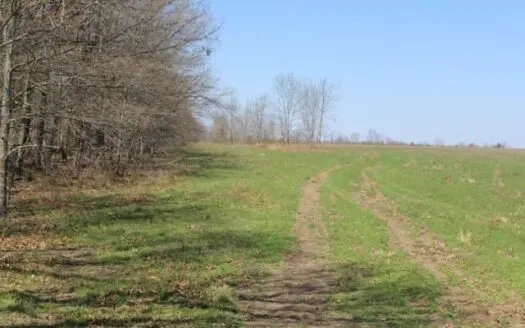 Row Crop Farm/ Clarksville, Tx