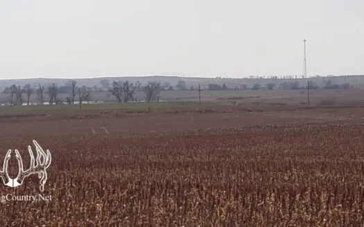 180 Acres M/l. Barber County Kansas Cropland for Sale