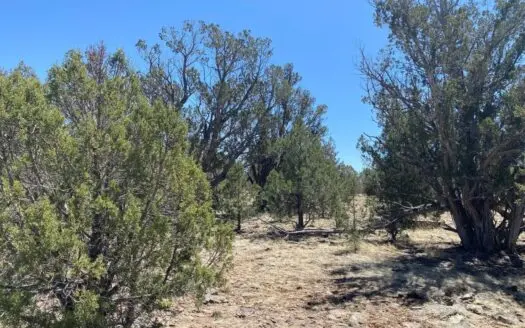 Very Private 40 Acres for Sale Williams Az, No Hoa