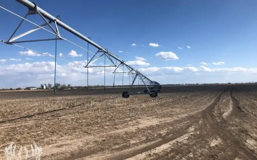 146 Acres M/l Ford Co. Kansas Irrigated & Dry Land for Sale