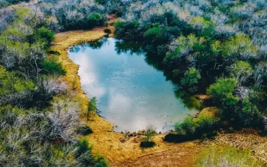 South Texas Hunting Ranch / Golden Triangle!