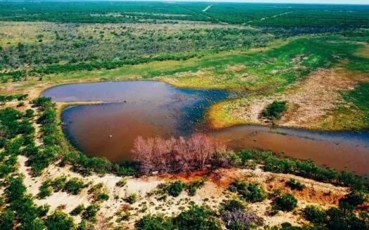 D Bar Hunting Ranch, Crystal City, Texas