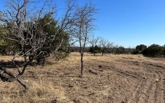 7 Acres in the Country with a View