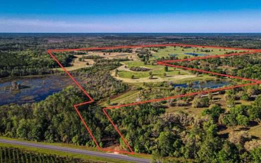 ranches for sale listing image for Farm Land for Sale  283 Acres  Gilchrist County