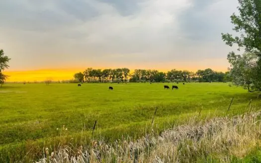 Historic 2n Ranch for Sale Deeded Acres with Dodson Creek