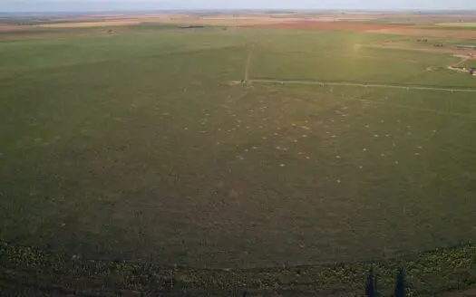 Texas Farm/ranch Property in Parmer County