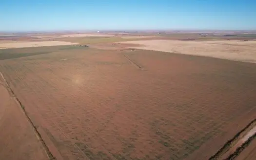 Texas Farm/ranch Property Country Home in Parmer County