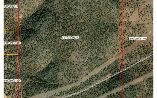 320 Acres Of Pristine Land