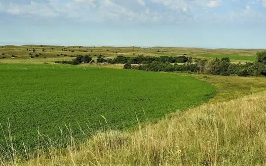 Knievel Nebraska Sandhills  Farm & Ranch for Sale