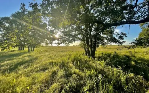 40 Acres – Beautiful Land in Convenient Location