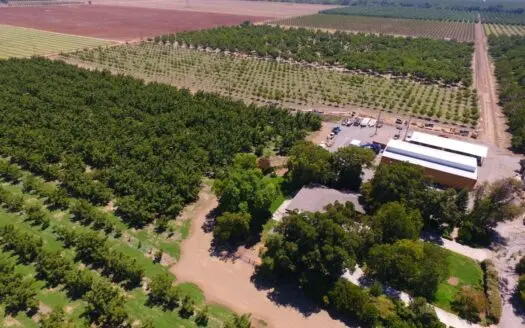 Northern California Income Producing Orchards for Sale