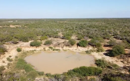 Silver Webb Ranch- South Texas Deer Hunting Property!