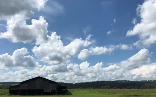 Riverfront Farm for Sale in Rogersville, Tn-hawkins County