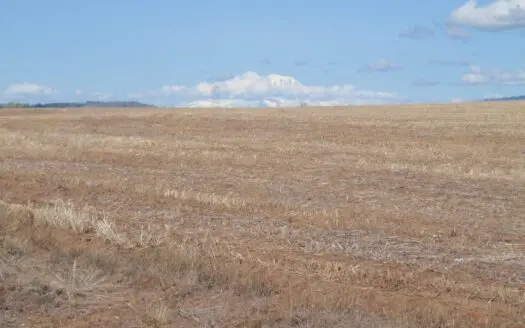 Land for Sale in Goldendale Washington, Near Columbia River