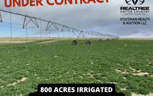 Baca County, Colorado ~ 800 Acre ~ Pivot Irrigation Farm