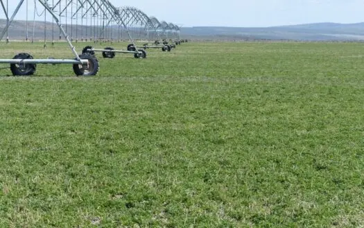 720 Acre Hay Farm – East Of Burns or