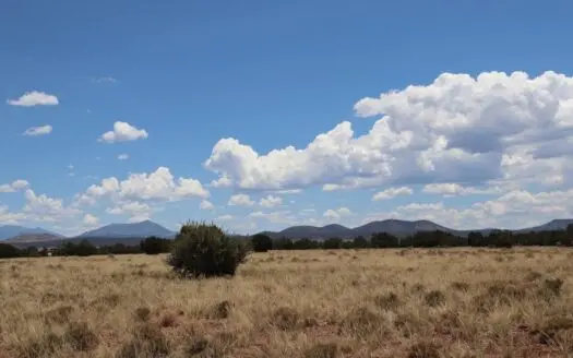 Views, Views, Views!