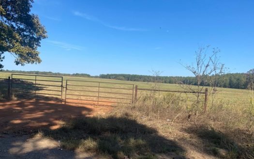 ranches for sale listing image for Hunting/ Recreation in Bowie County
