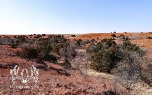 314 Acres M/l. Hunting and Grazing Land for Sale