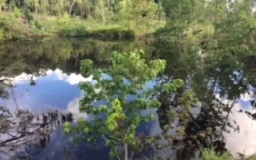 23 Acres, Land, Building Site, Farm, Recreational