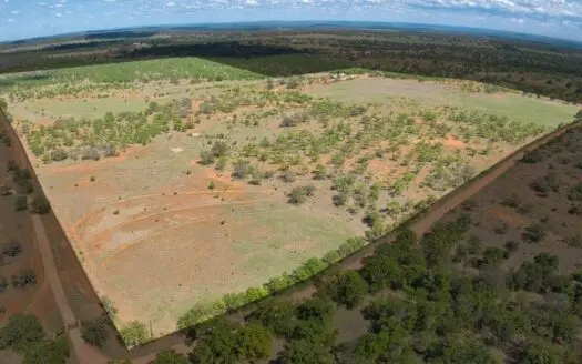 Mason, Texas – Hunting | Recreational | Investment Property