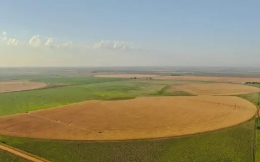 Irrigated Farm in Texas W/ Improved Pasture and Cultivation