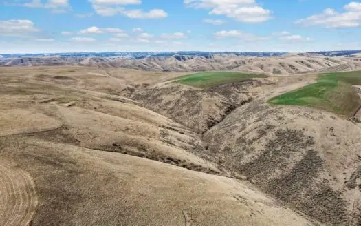 2500+ Ac Cattle Ranch and Farm Home!