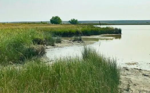 Cattle Ranch, Deeded Acres, Grazing, Montana Land for Sale