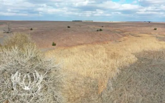 117 Acres M/l. Kiowa County Kansas Hunting Land for Sale