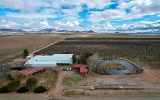 ranches for sale listing image for Arizona Orchard Investment Property for Sale