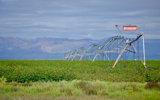 ranches for sale listing image for Irrigated Farm Land Water Investment Opportunity Van Horn Tx