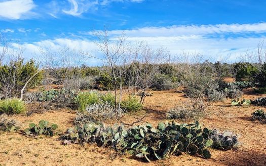 ranches for sale listing image for West Texas Hunting Ranch Near San Angelo Midland